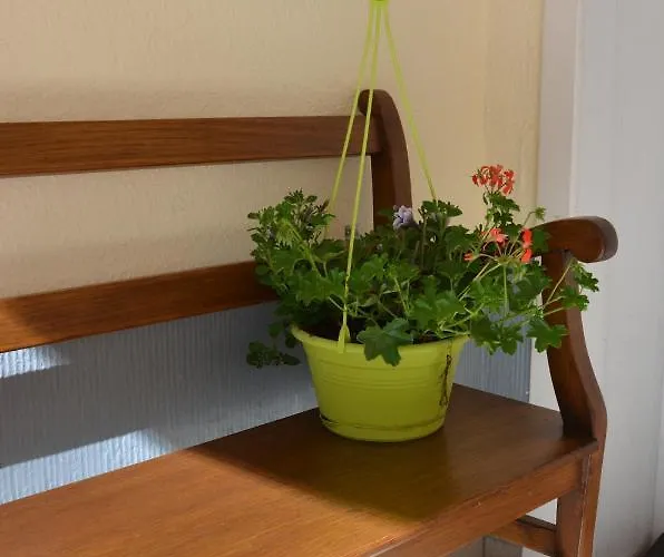 Apartment L'abri La Roche-en-Ardenne